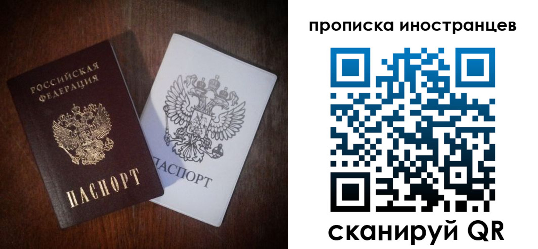 прописка гарантия в Железногорске